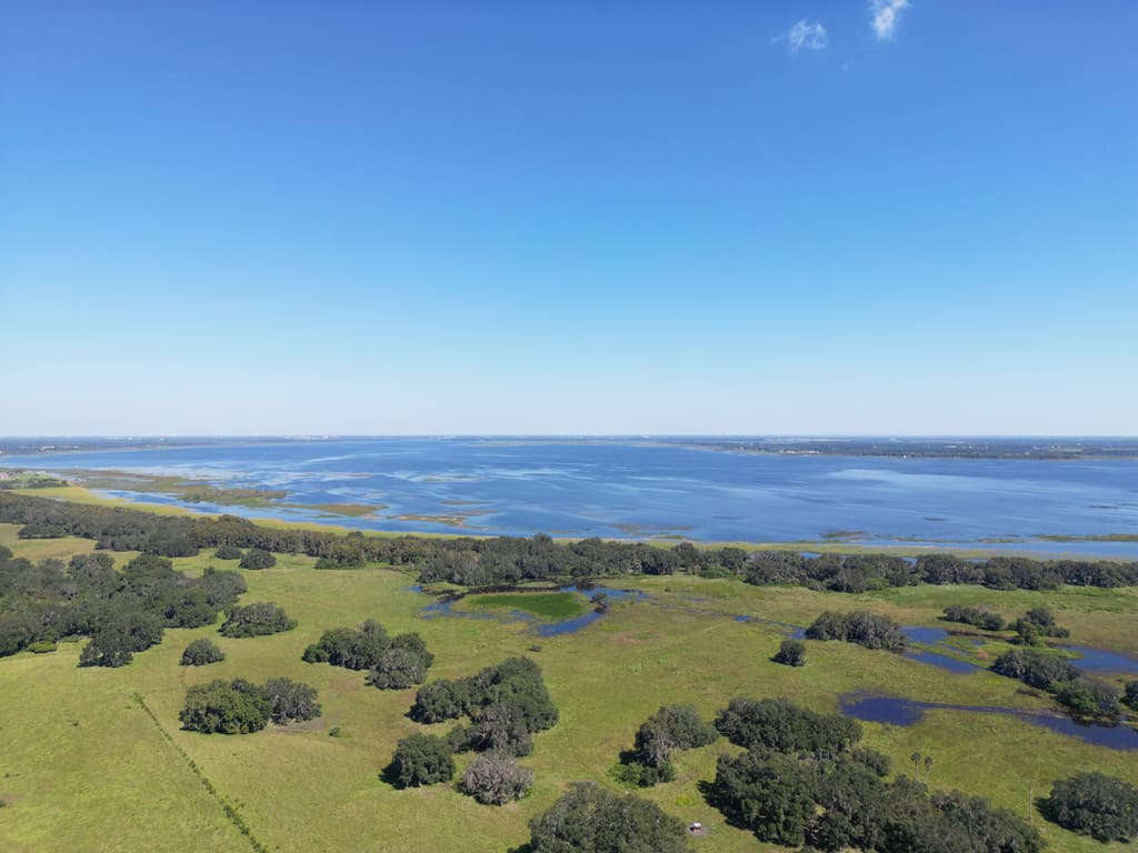 Vista aérea del lago Tohopekaliga y sus pantanos en Kissimmee